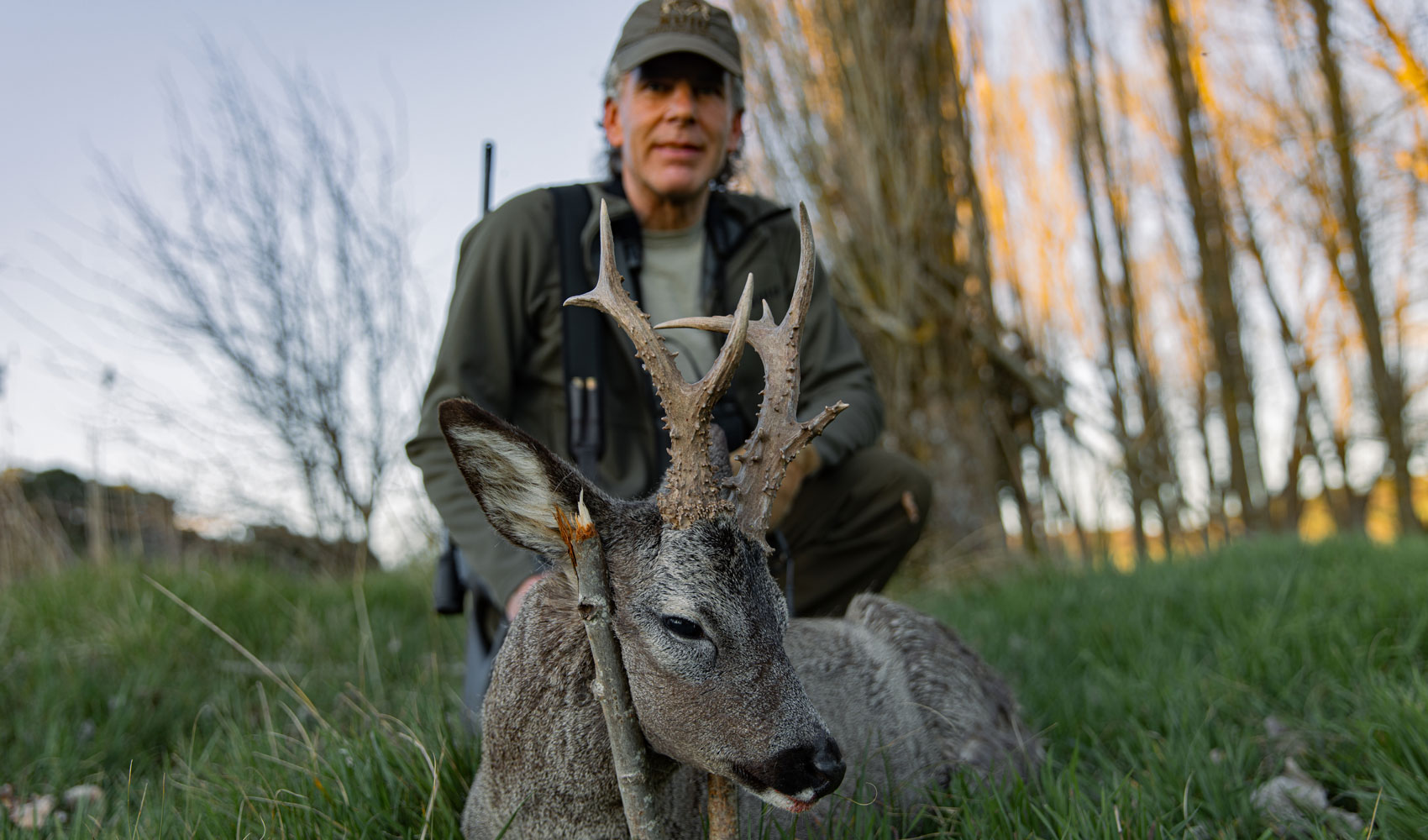 roe buck hunting in spain