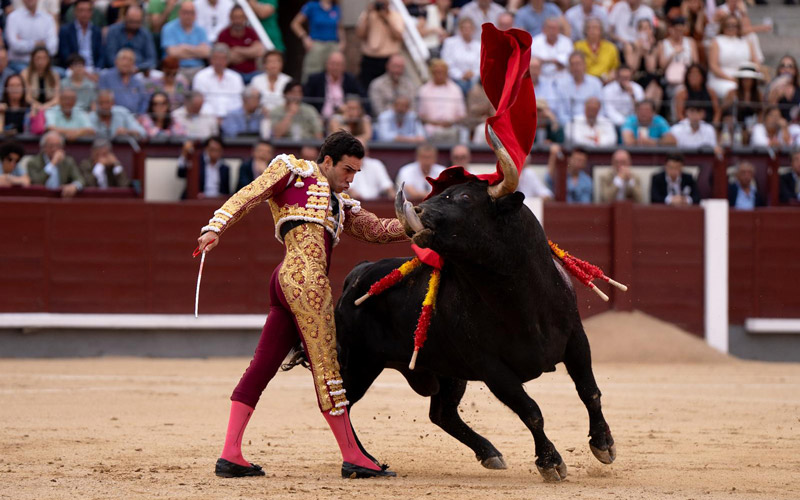 spanish culture roe deer hunt