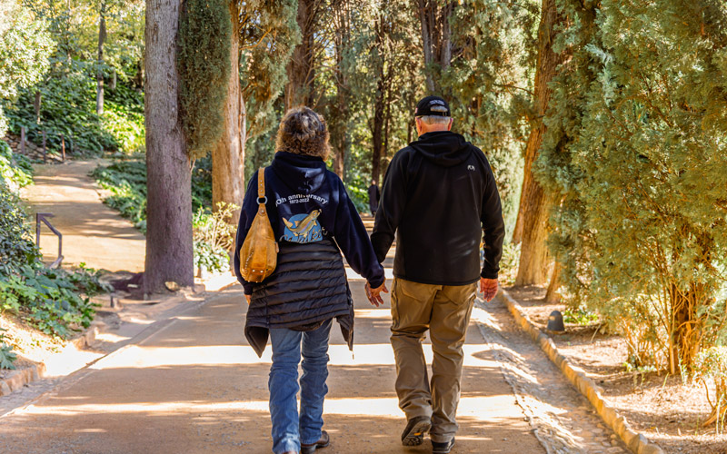 tourism roe deer hunt